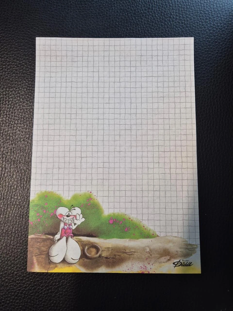 10 x a5 WIT Diddl – photo 6